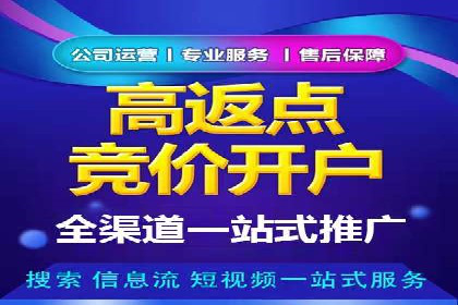 行业领先企业的SEM竞价优化经验分享